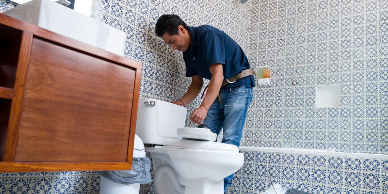 Toilet Repair in Arden, North Carolina
